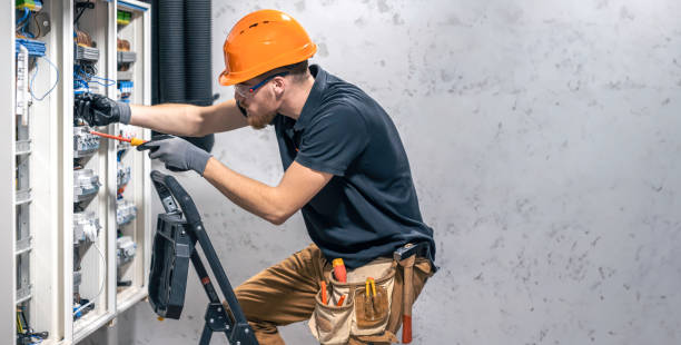 Best Electric Panel Repair  in Lake Alfred, FL